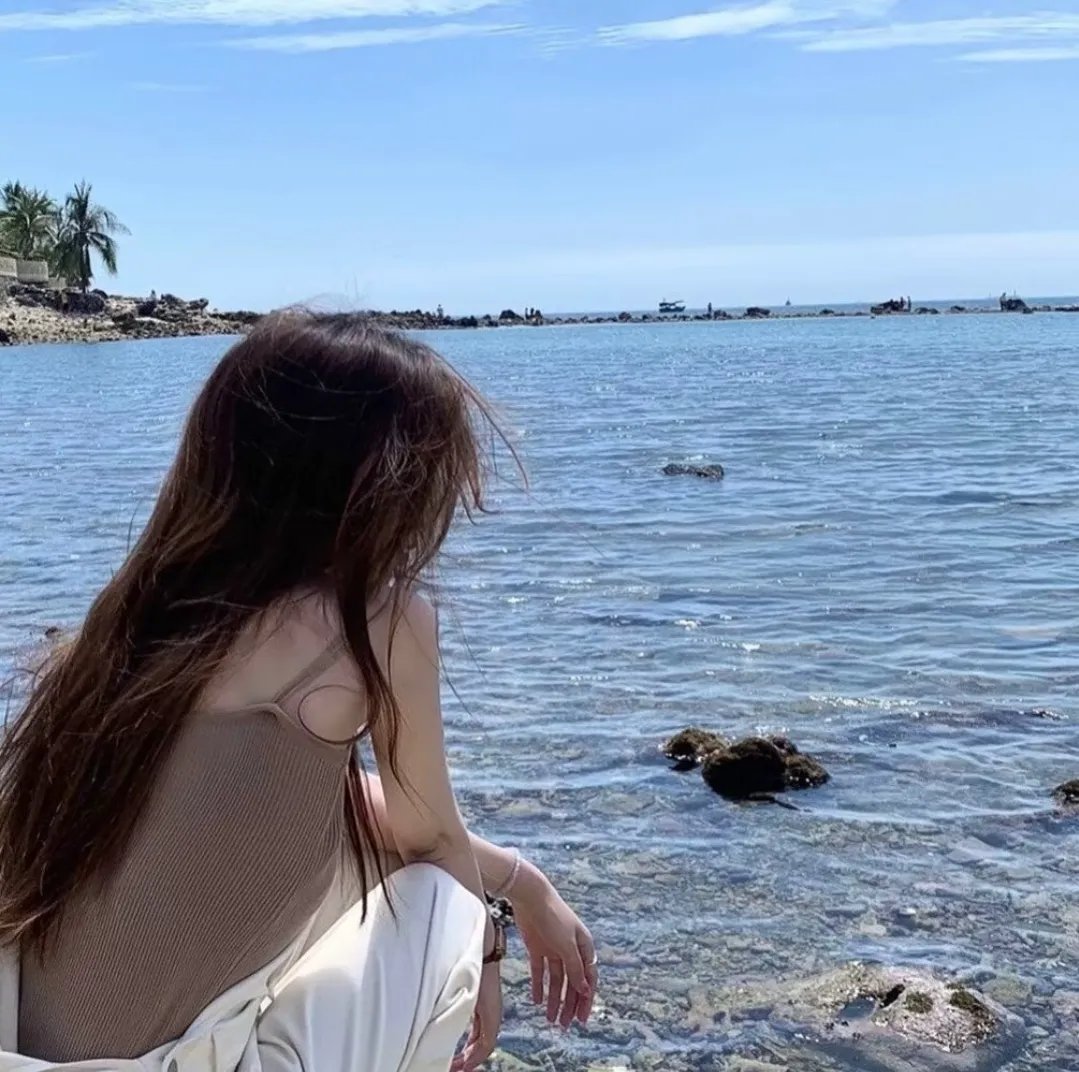 沙海狂鲨